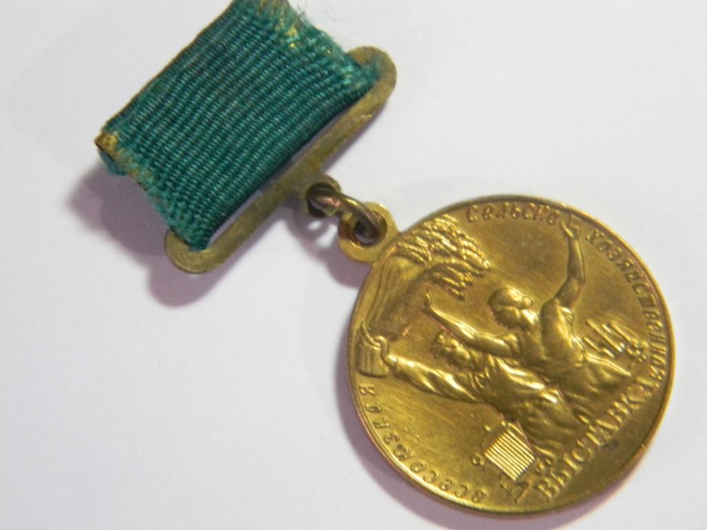 Знак. Медаль. Знак. ВСХВ.  Участнику Всесоюзной сельскохозяйственной выставки. Без креста.  (1) 