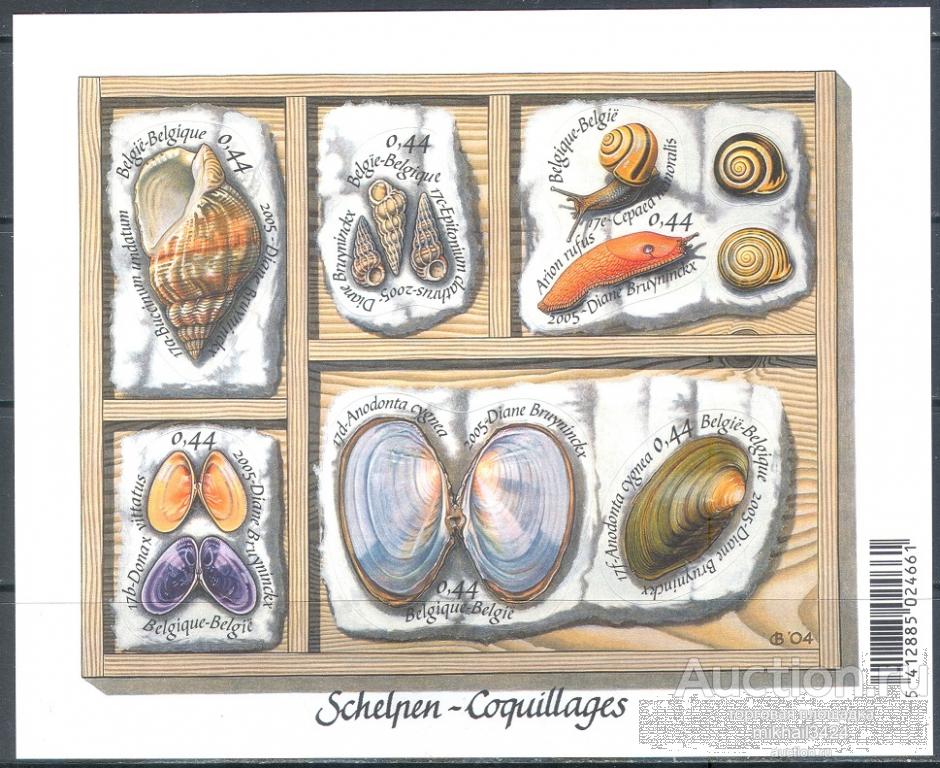 С6515 ✅ Морская Фауна Моллюски Ракушки Раковины 2005 Бельгия Блок ** 2,64€ Самоклейки