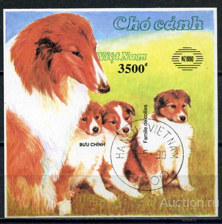 Вьетнам 1990. Фауна. Собаки. Mi.bl.78 Без Зубцов. Гаш. СТО.