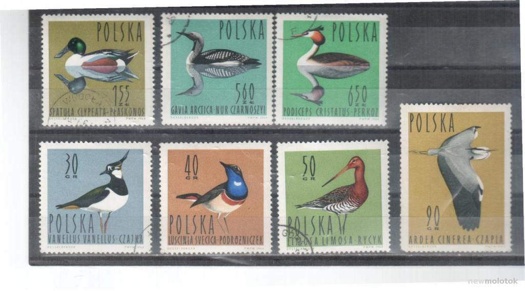 Польша, 1964 г. фауна, птицы, 7 марок, гаш