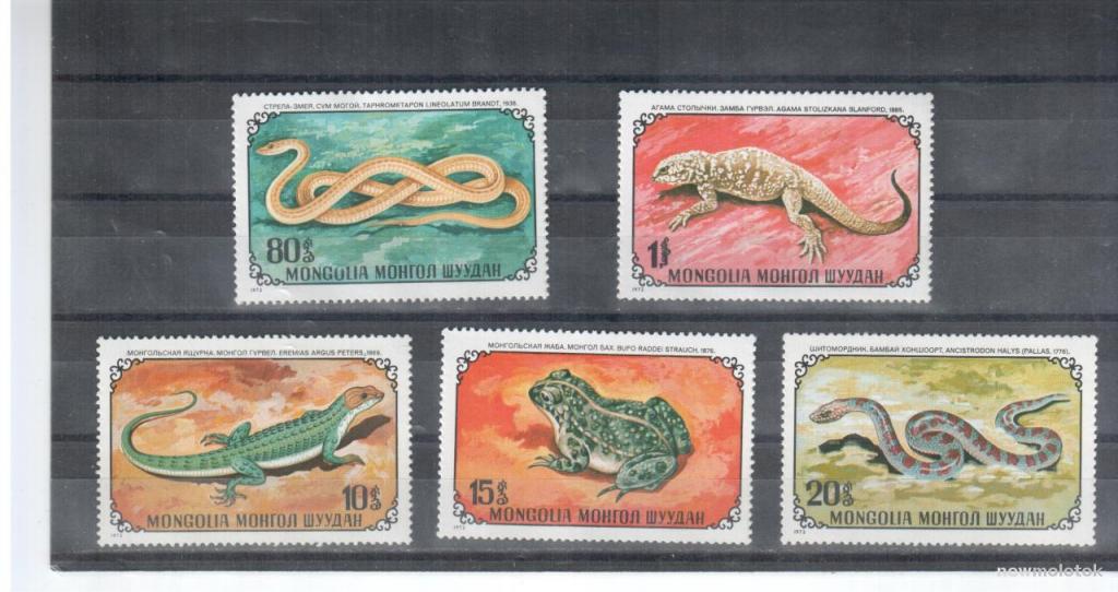 Монголия, 1972 г. фауна, рептилии, 5 марок, *