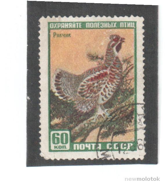 СССР, 1959 г. фауна СССР, рябчик, гаш