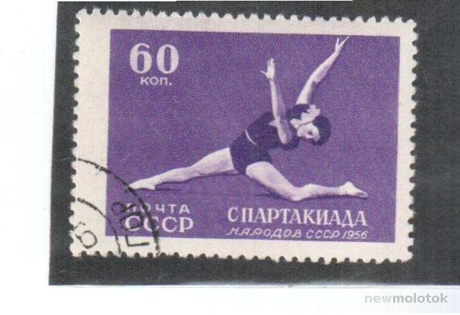 СССР, 1956 г. спорт, спартакиада народов СССР, гимнастика, гаш