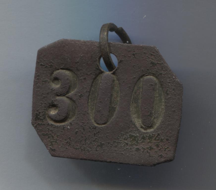 жетон бирка номер 300 кольцо
