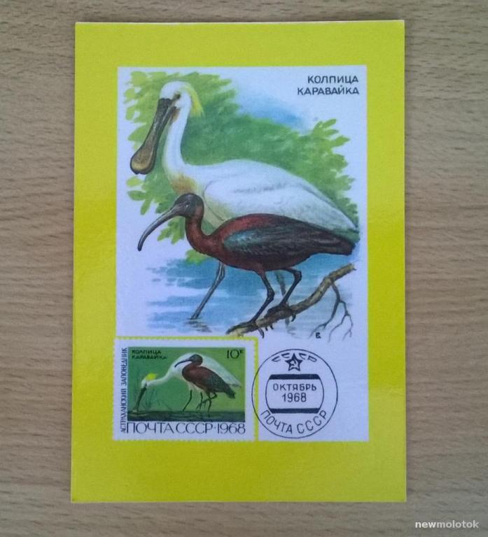 Календарь календарик карманный Почта СССР Птицы Колпица Каравайка 1991 г. СССР
