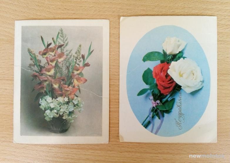 Мини Открытки Цветы Фото Е. Савалова  1982 г. СССР