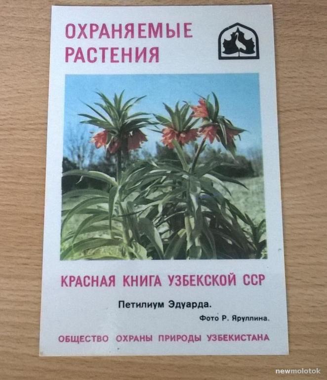 Календарь  календарик карманный Красная книга Узбекистан Охраняемые растения  1985 г. СССР