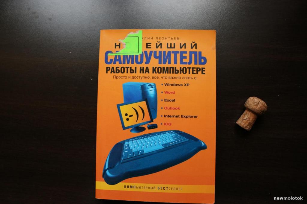Новейший самоучитель работы на компьютере