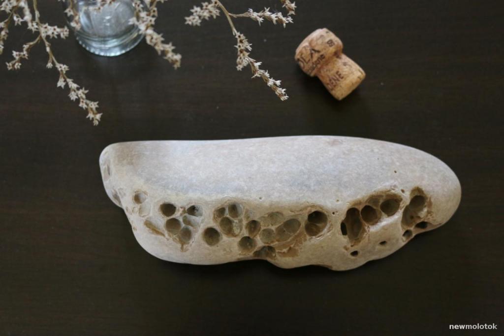 Морской камень овальный с кавернами для фотосессий