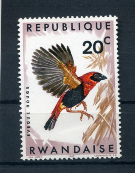 Руанда. Экзотические Птицы. Eveque Rouge. Фауна. 1 марка. 1967.*