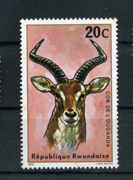 Руанда. Болотный козёл. Африканская антилопа. Фауна. 1 марка. 1975.**