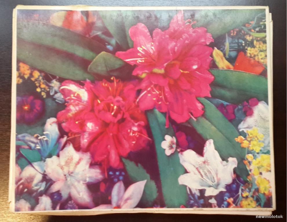 Набор спичек (коробков) "Главный Ботанический Сад АН СССР" СССР 1978