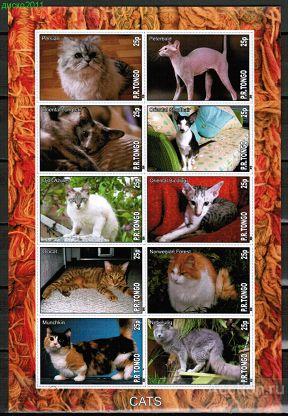 R.P.Tongo 2010 Кошки Кошачьи Фауна Домашние любимцы к/боген, беззубц., чистый