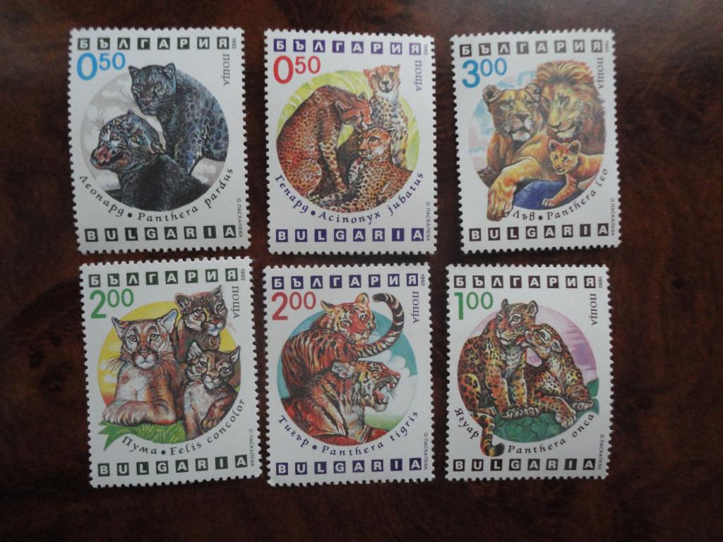БОЛГАРИЯ 1992г. "КОШКИ" СОСТОЯНИЕ **