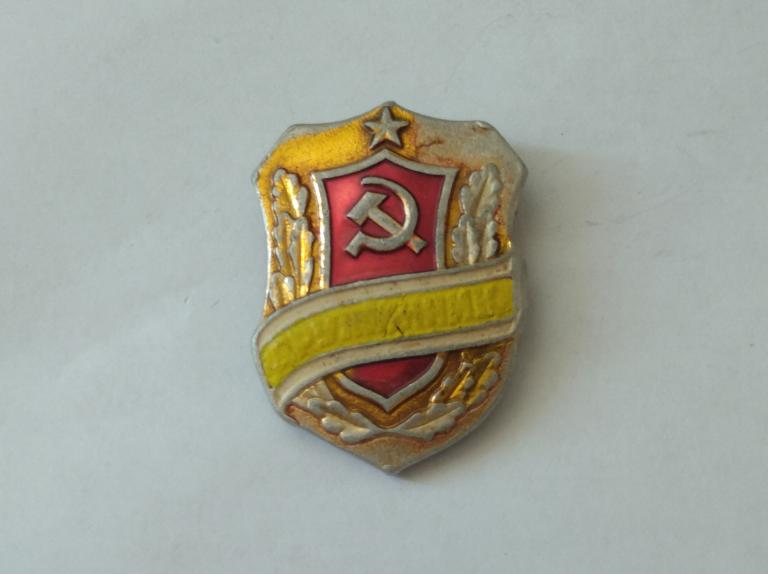 Коллекция знак значок Дружиник  лист 90  Более 20000 шт