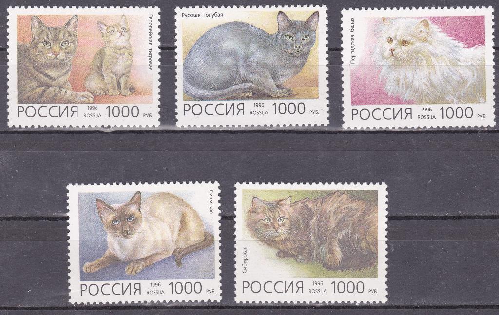 Марки РОССИЯ 1996 г. № 266-270 Фауна Домашние кошки  Серия 5 марок MNH **
