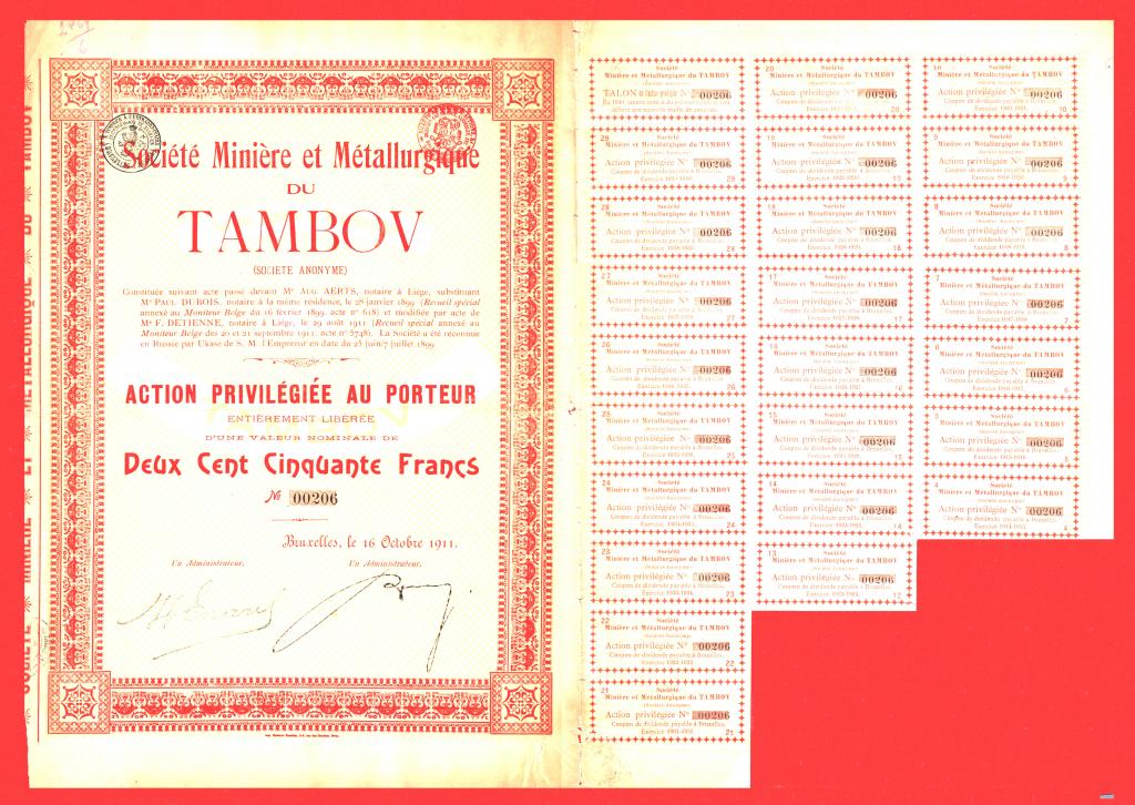 Рудно-металлургическое общество ТАМБОВ, ПРИВИЛЕГИРОВАННАЯ акция, 250 франков, 1911, № 00206