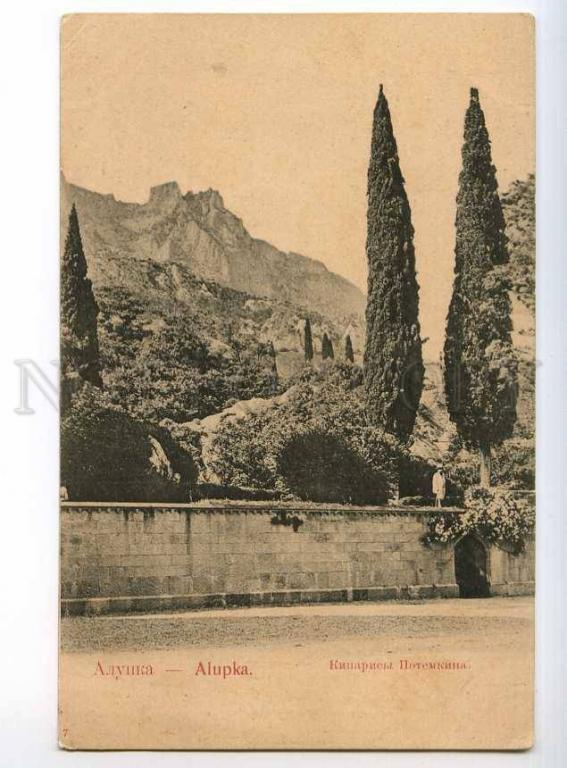 Крым Алупкинский дворец кипарисы