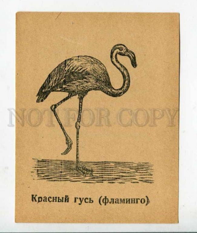 Шоколадный Батончик Фламинго Ссср