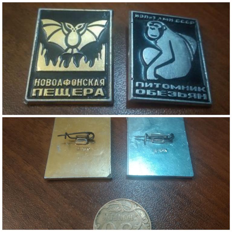 Абхазия новоафонская пещера + питомник обезьян 2 шт знак значок
