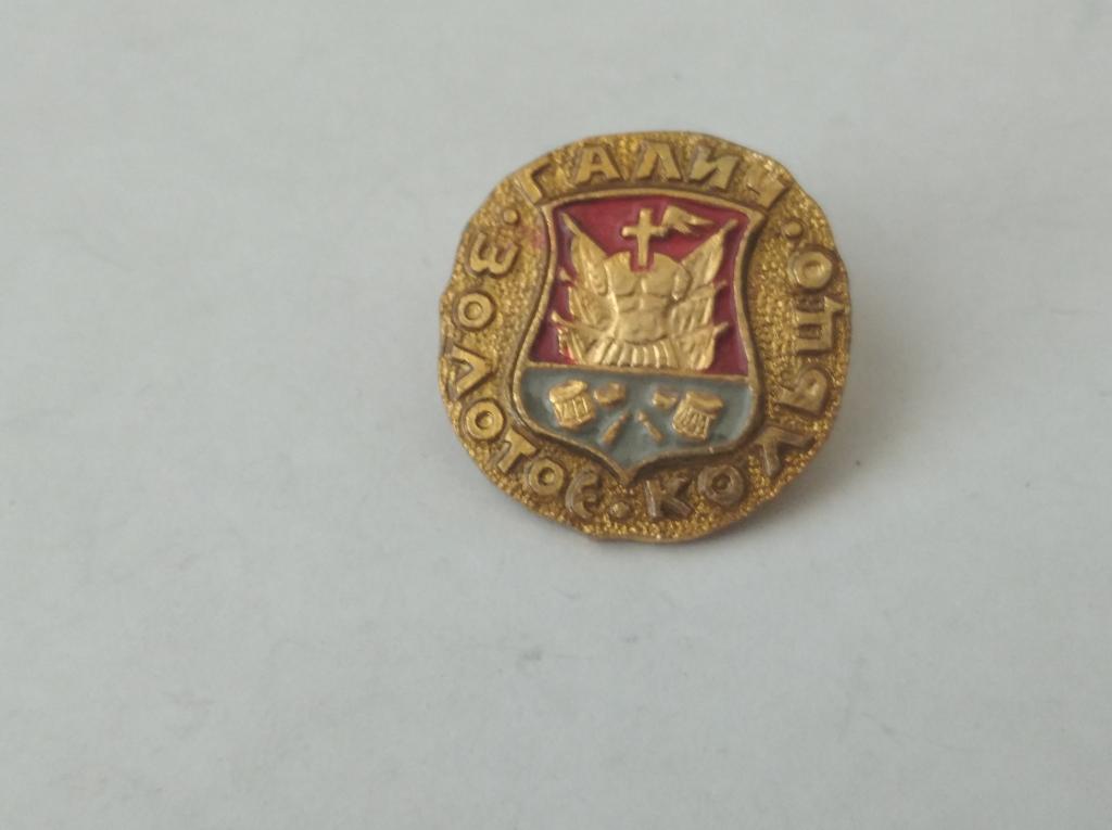 Коллекция знак значок Геральдика Галич Золотое кольцо Лист 133 Более 20000шт