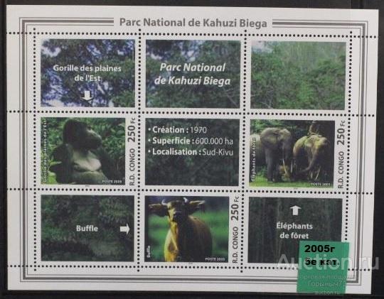 Конго ДР 2005 мл#1 MNH 5е кат