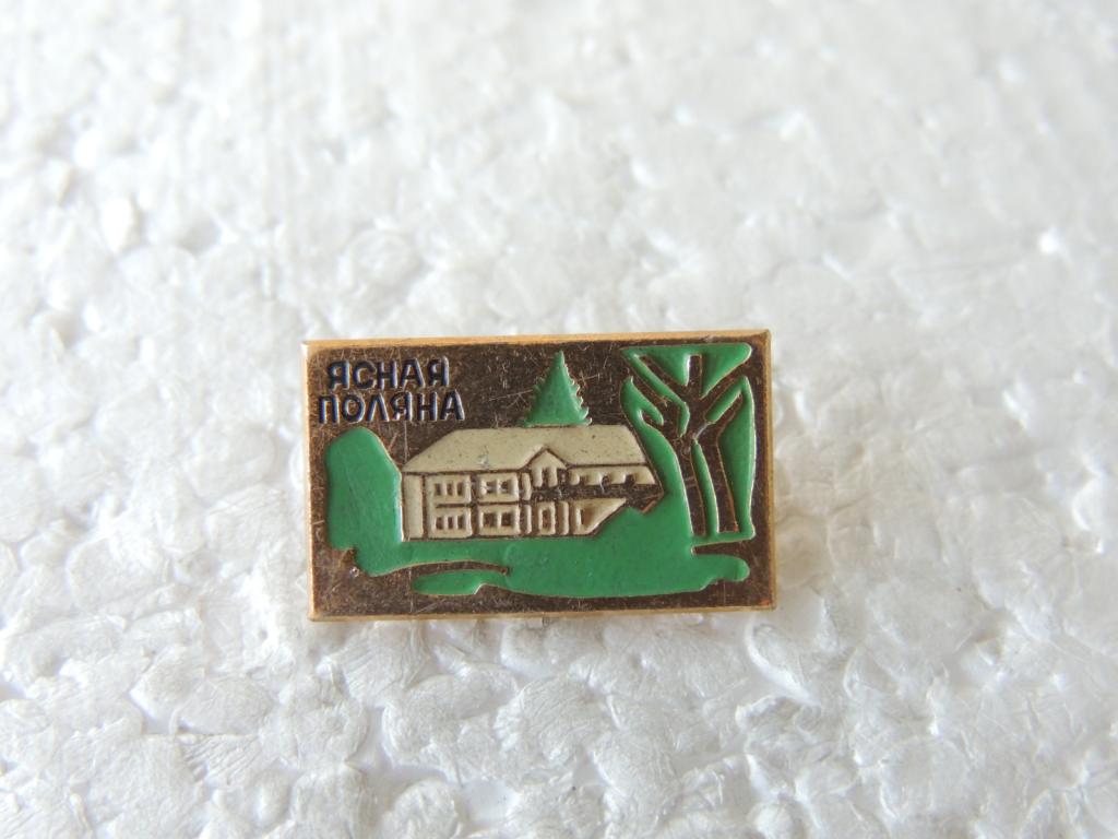 Значок Геральдика Ясная Поляна №250