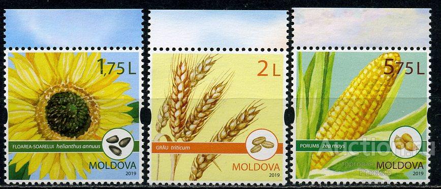 Молдова 2019. Сельское хозяйство. Флора. Злаки. Подсолнух. Кукуруза. MNH.