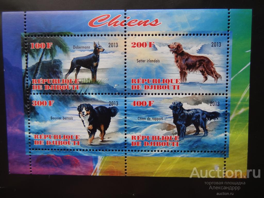Джибути 2013 фауна собаки MNH