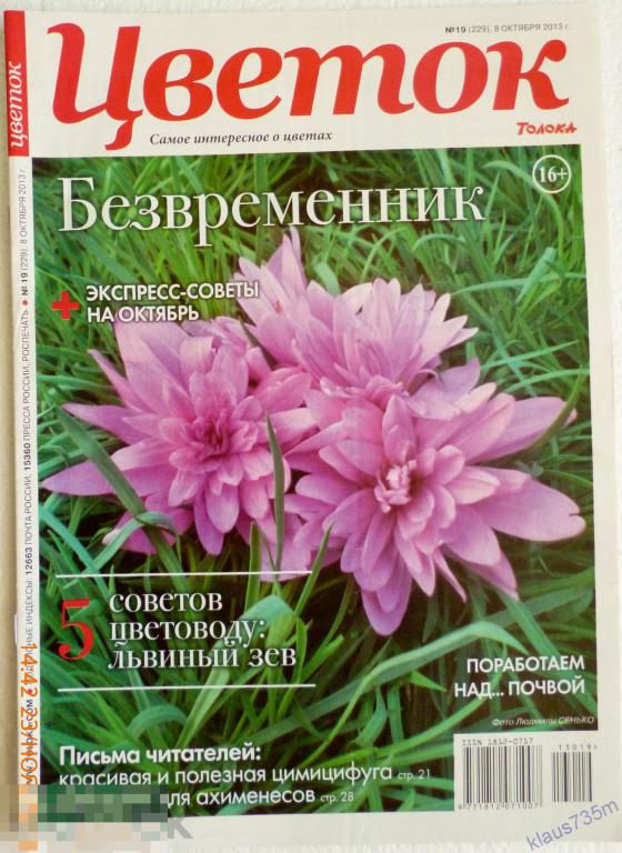 Журнал " Цветок"  Толока N 19 (229) октябрь 2013г.