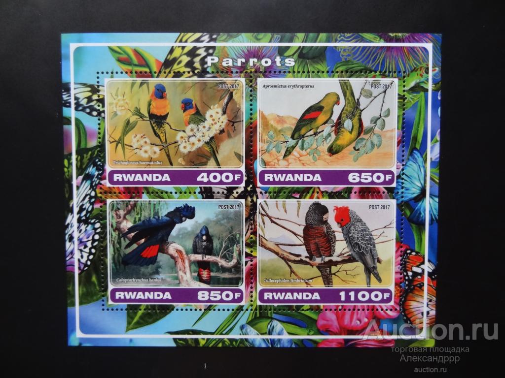 Руанда 2017 фауна птицы MNH