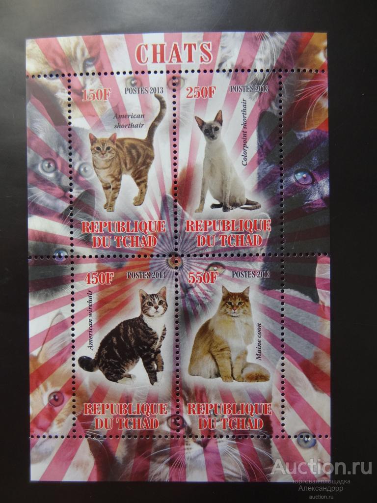 Чад 2013 фауна кошки MNH