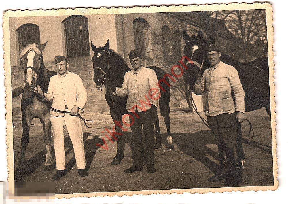 Оригинал Фото ВОВ 11х8см Немецкий солдат Мужчина лошадь оккупация СССР? Рейх 3273 