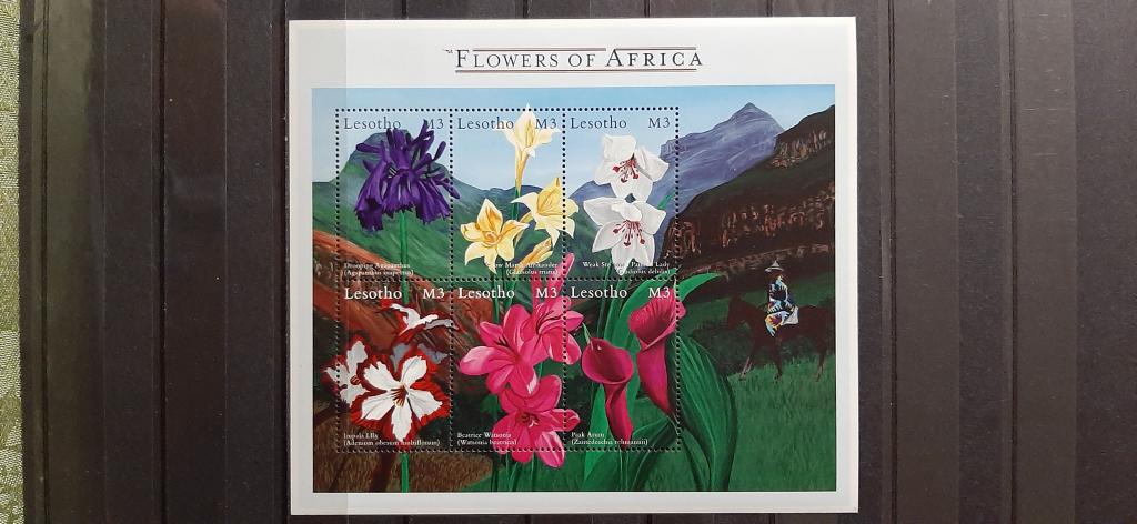 Лесото цветы флора пейзаж всадник лошадь 2000 **
