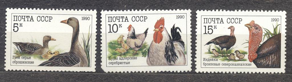СССР 1990 г. марка № 6168-70(С-К) серия Домашние птицы  чистая**