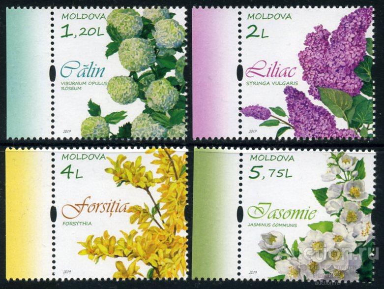 Молдова 2019. Флра. Цветы деревьев и кустов. Сирень. MNH.