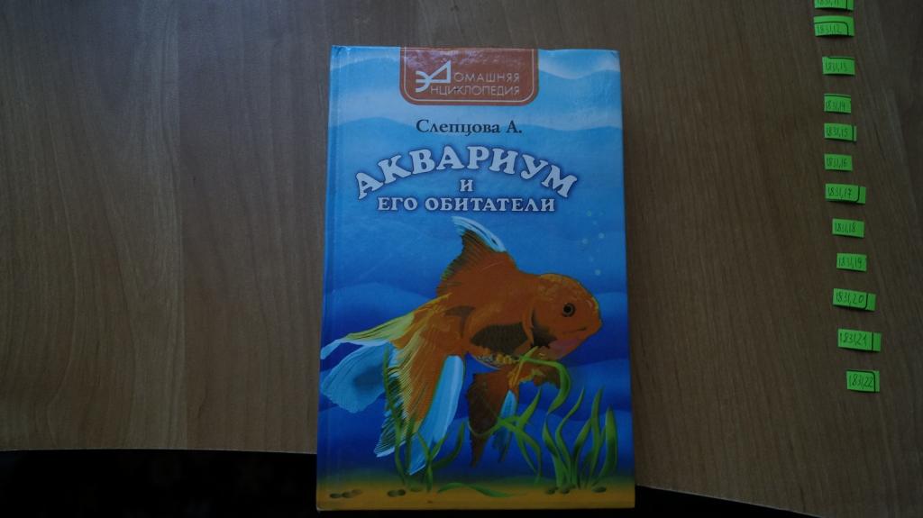 Купить В Ростове Н Д