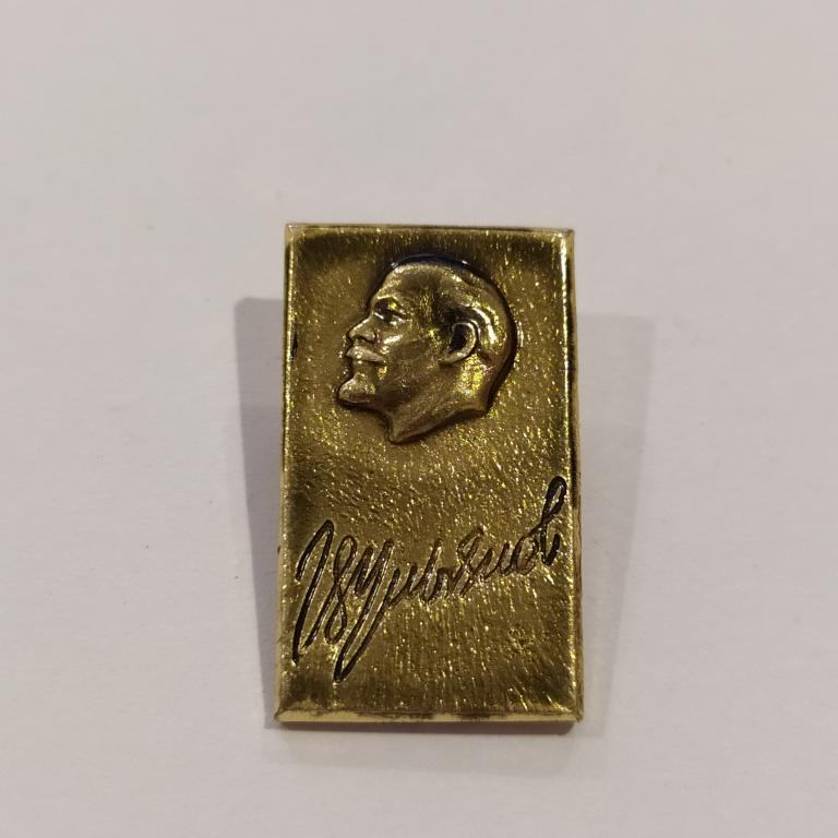 Коллекция Знак Значок ВЛАДИМИР УЛЬЯНОВ Лист 224 Более 20000 шт