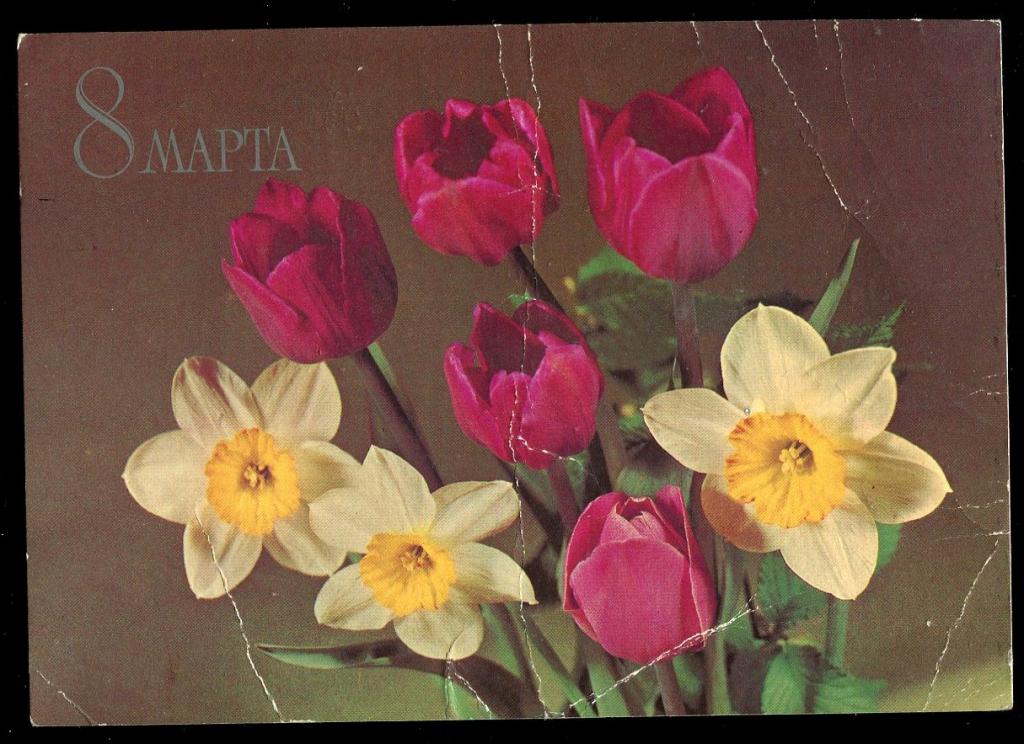 8 Марта - Круцко Б - 1982 год  (155)