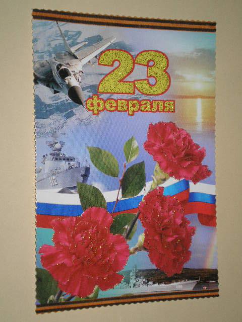 23 Февраля Авиация Флот Цветы Гвоздики Стандартный формат (2295)
