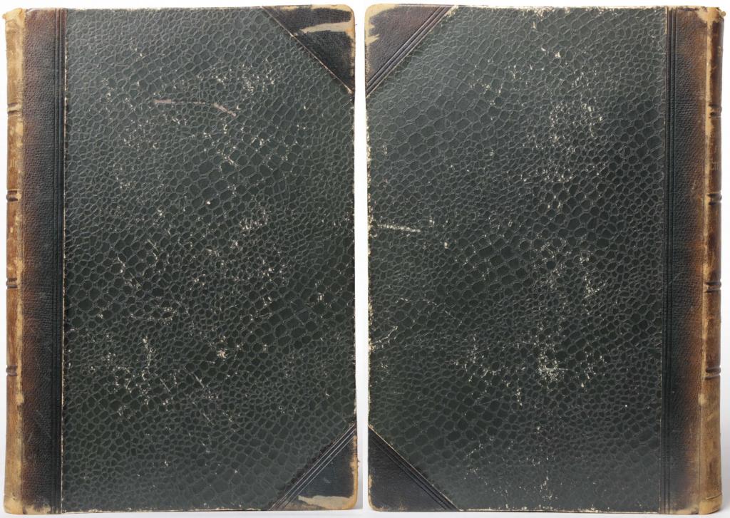 произведение 1901. аполлон майков очерки рима. н. сборник «стихотворения аполлона майкова». дневник чуковского в двух томах.