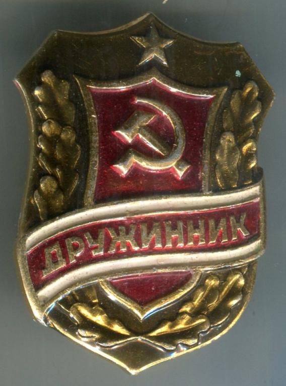 Знак Дружинник