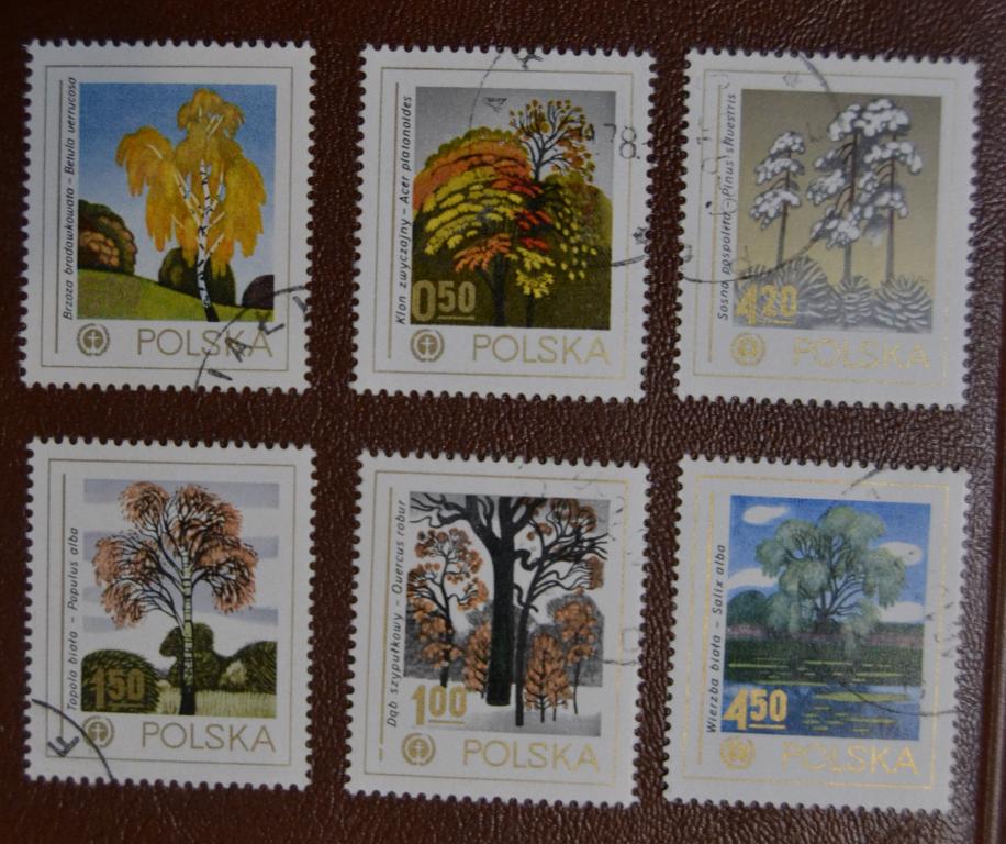 Польша 1978 год  Охрана окружающей среды, деревья Mi-2569-74  СТО