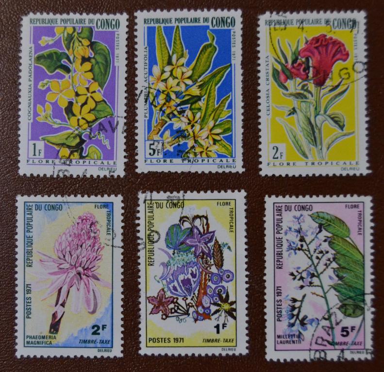 Конго 1971 год   Флора. Тропические цветы. Серия СТО