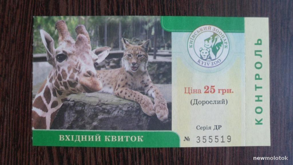 Сколько стоит билет в зоопарк ростов. Билет в зоопарк. Московский зоопарк билеты. Билет в зоосад. Билет в зоопарк фото.