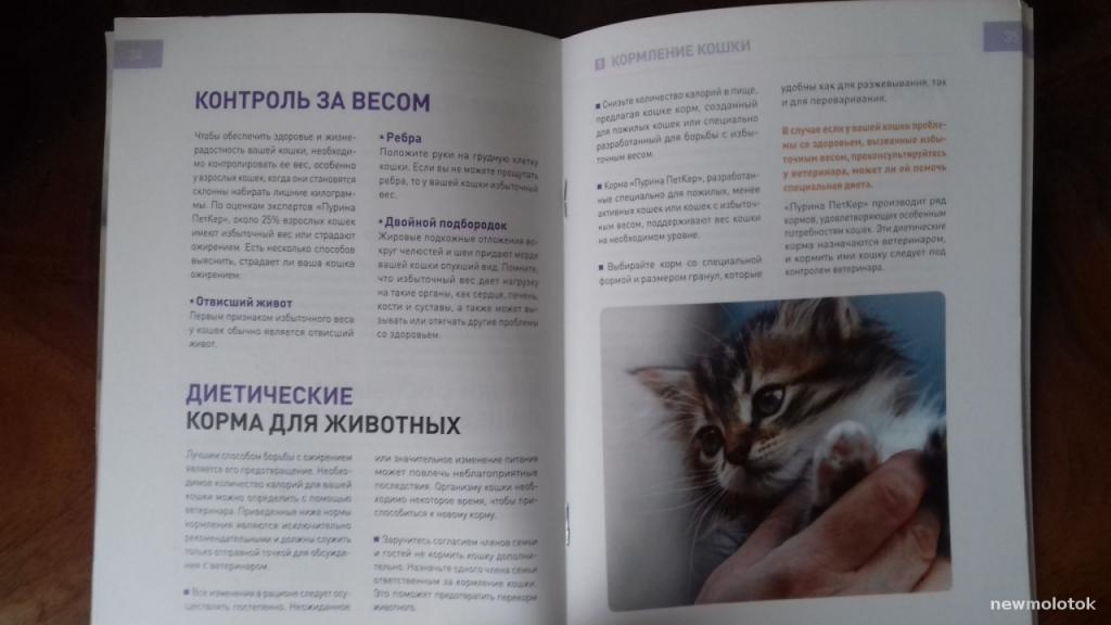 Статистика и котики pdf