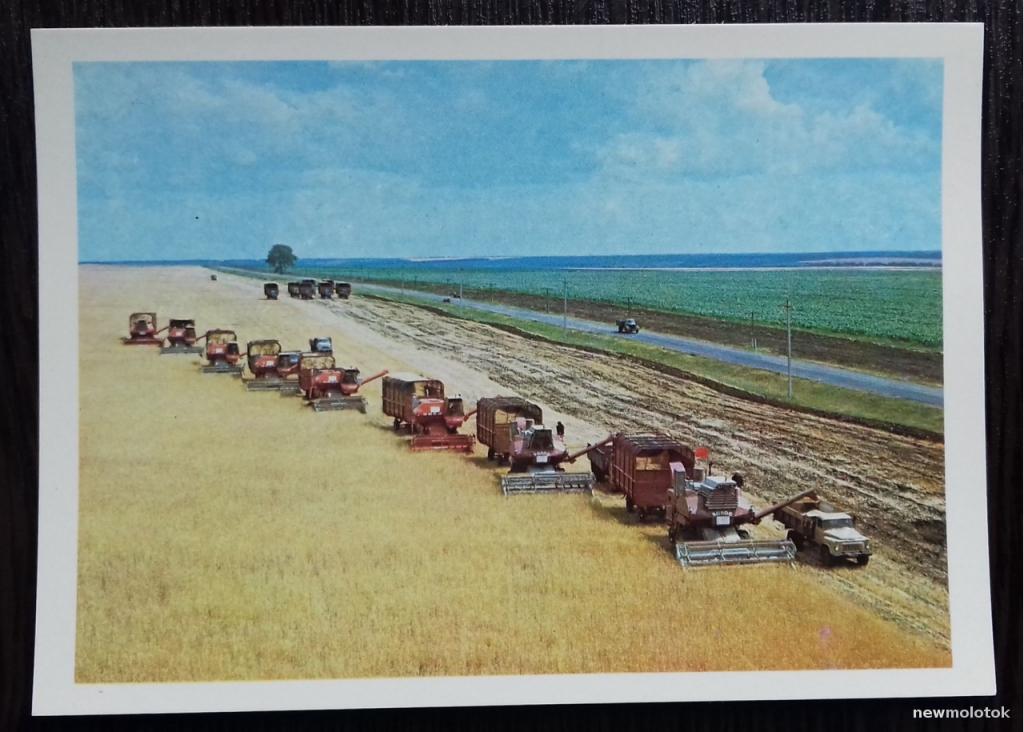Открытка коллекционная чистая Уборка урожая Жатва 1985 год ОТЛИЧНОЕ СОСТОЯНИЕ !!!