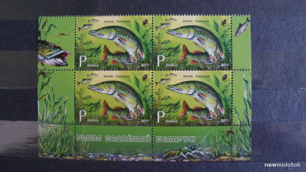 МАРКИ ФАУНА РЫБЫ БЕЛАРУСЬ 2011 ГОД ЧИСТЫЕ