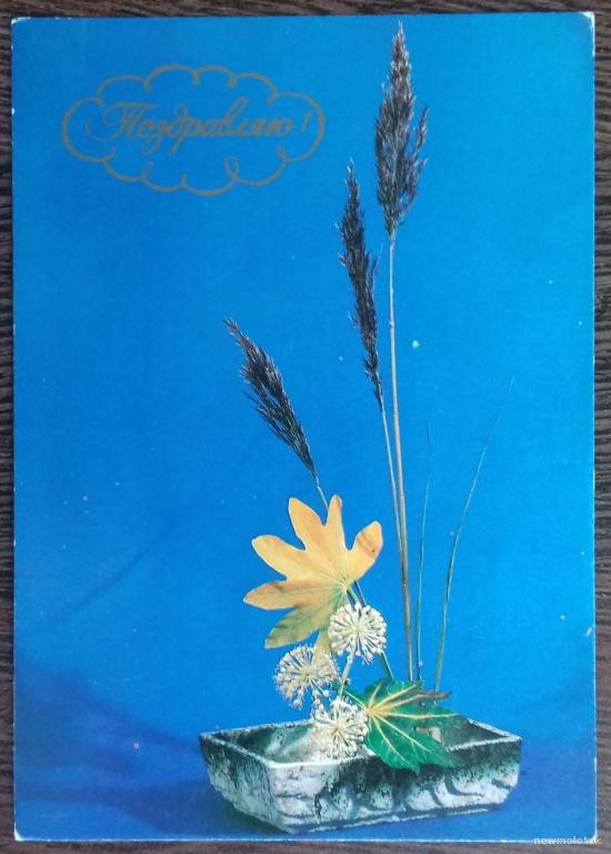 ОТКРЫТКА КАРТОЧКА ПОЧТОВАЯ ПОЗДРАВЛЯЮ! ПОДПИСАНА ХУДОЖНИК БАРЫШНИКОВА СССР 1983 ГОД