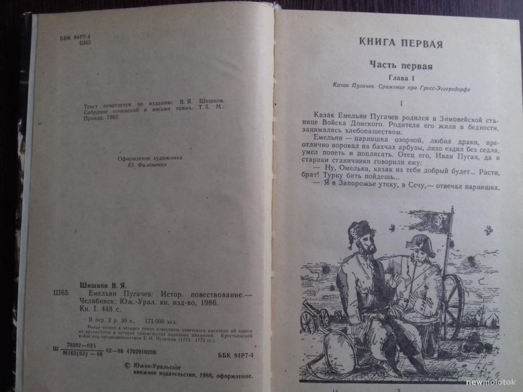 Глава книги. Емельян Пугачев. Том 1 книга. Емельян Пугачев историческое повествование кн. 1 Шишков. Части и главы в книге.